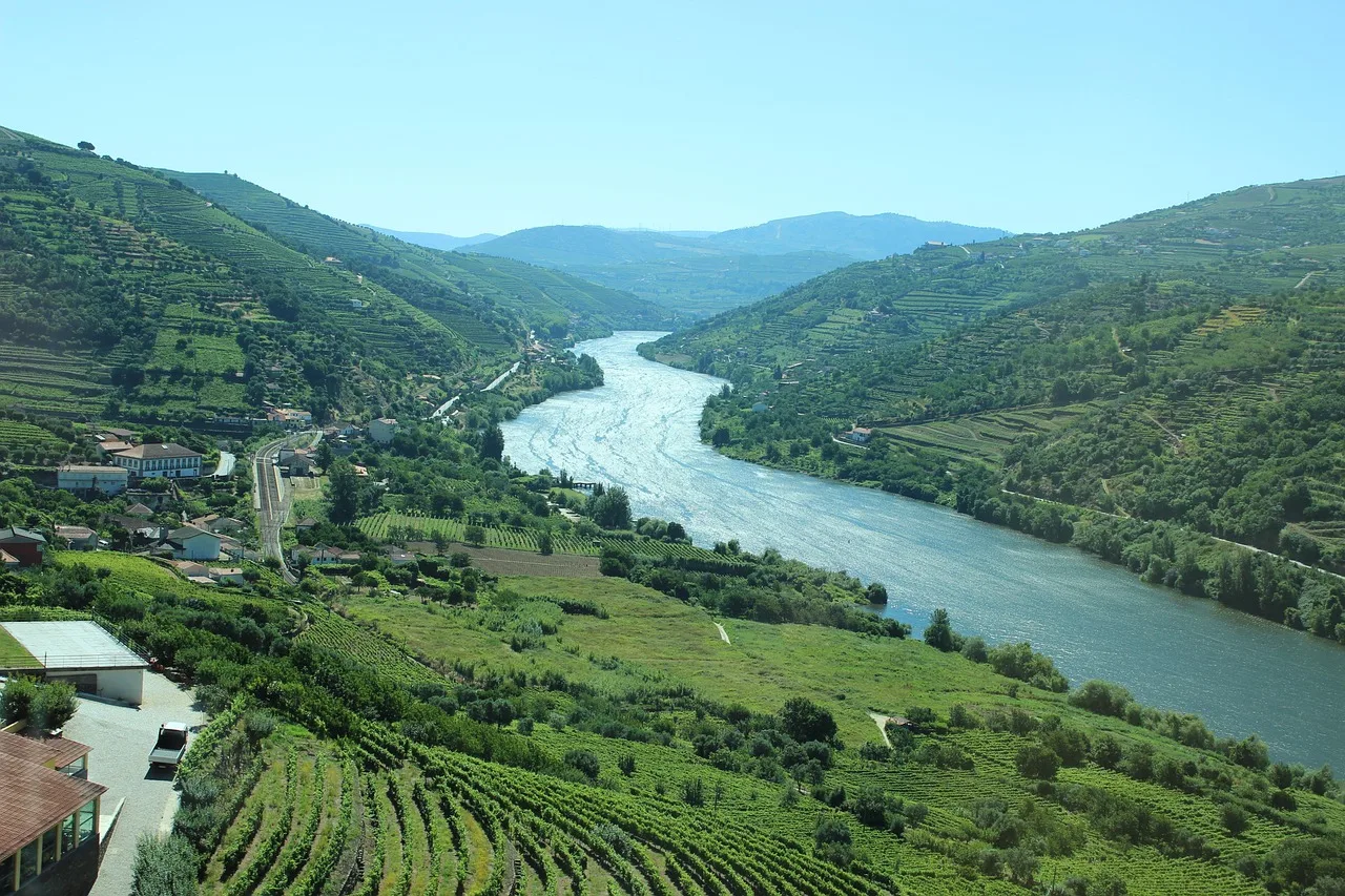 ESSENZA DEL DOURO